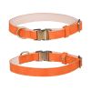 Padded Leather Dog Collar with Metal Buckle