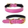 Padded Leather Dog Collar