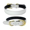 Padded Leather Dog Collar