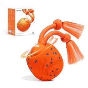 Wicked Ball Rolly Interactive Rope Toy (Color: Orange)