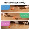 Wicked Ball Rolly Interactive Rope Toy
