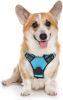 No-Pull Reflective Dog Harness with Control Handle