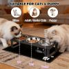 Elevated Dog Bowl Stand with Splash-Proof Mat