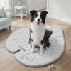 Large Cooling Mat for Dogs