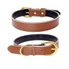 Padded Leather Dog Collar