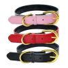 Padded Leather Dog Collar