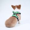 Frog Mesh Harness & Leash Set for Small Dogs