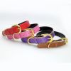 Padded Leather Dog Collar