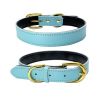 Padded Leather Dog Collar