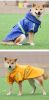 Hooded Dog Raincoat with Reflective Trim