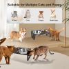 Elevated Dog Feeding Station with 4 Tilted Bowls