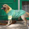 Big Dog Pocket Sweater for Cold Weather