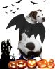 Bat Wings Halloween Costume for Dogs