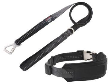 Geo-prene Padded Reflective Leash & Collar Set (Color / Size: Black / Small)