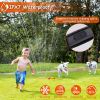 LED Light-Up Safety Collar, 9 Colors