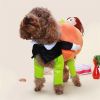 Pumpkin Carrier Halloween Costume