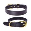Padded Leather Dog Collar