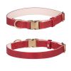 Padded Leather Dog Collar with Metal Buckle