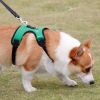 Frog Mesh Harness & Leash Set for Small Dogs