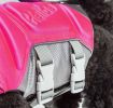 Tidal Guard Reflective Dog Life Jacket