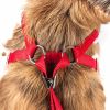 Candy Stripe Bowtie Harness & Leash Set