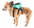 'Dumbone' Elephant Harness Backpack