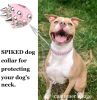 Studded Leather Dog Collar with Bonus Squeak Ball