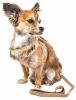 Faux-Fur Collar Harness & Leash Set