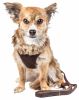 Faux-Fur Collar Harness & Leash Set