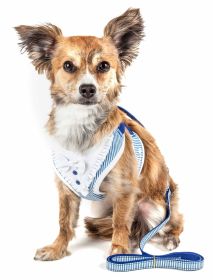 Candy Stripe Bowtie Harness & Leash Set (Color / Size: Blue / Medium)