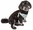 Reversible Mesh Harness with Designer Bowtie