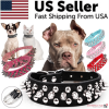 Spiked Studded Leather Collar