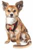 Plaid Bowtie Harness & Leash Set