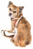 Plaid Bowtie Harness & Leash Set