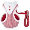 Candy Stripe Bowtie Harness & Leash Set