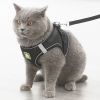 No-Pull Reflective Harness & Leash Set
