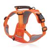 No-Pull Dog Harness with Easy-Control Handle