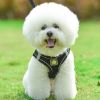 No-Pull Reflective Harness & Leash Set