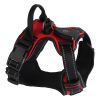 Rechargeable LED Light-Up No-Pull Harness