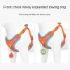 Reflective Harness & Leash Set for Everyday Walks