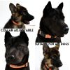 Reflective Waterproof Leash & Collar Set