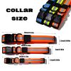 Reflective Waterproof Leash & Collar Set