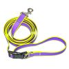 Six-in-One Hands-Free Dog Leash