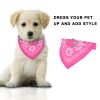 Bandana Collar with Triangle Scarf