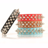 Spiked Studded Leather Collar