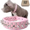 Studded Leather Dog Collar with Bonus Squeak Ball