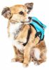 'Waggler Hobbler' Penguin Harness Backpack