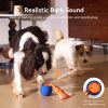 Wicked Ball Rolly Interactive Rope Toy