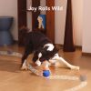 Wicked Ball Rolly Interactive Rope Toy