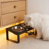 Elevated Dog Bowl Stand with Splash-Proof Mat